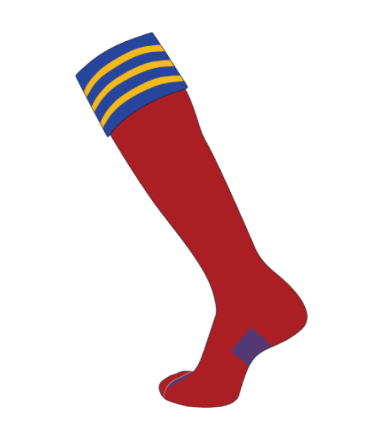 Custom Special Euro Socks - Stripes on Cuff